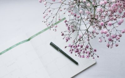 Actualidad fiscal-contable, laboral y legal durante el verano de 2019