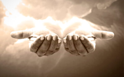 Los autónomos podrán exonerarse hasta el 70% de sus deudas con Hacienda y Seguridad Social