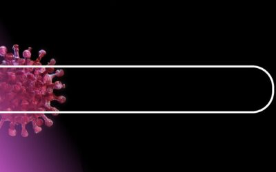 Guía de ayudas para empresas, trabajadores y autónomos durante la crisis del COVID19