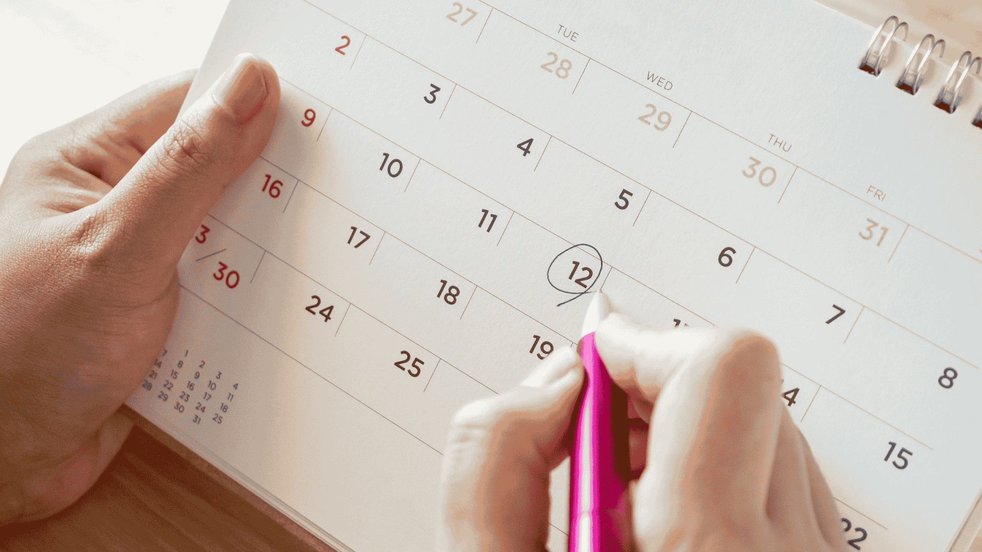 calendario-campaña-renta-patrimonio-2025